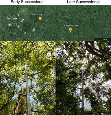 Aeroscapes and the Sensory Ecology of Olfaction in a Tropical Dry Forest